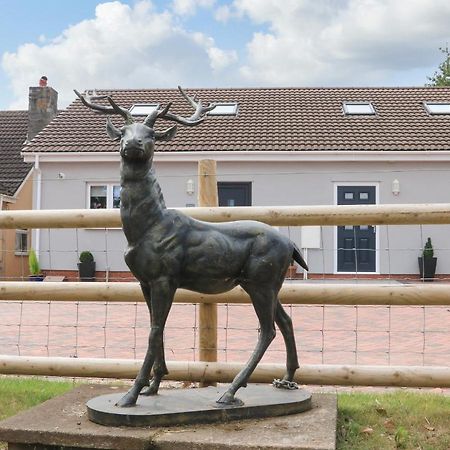 Sawtons Cottage 2 Dawlish Εξωτερικό φωτογραφία